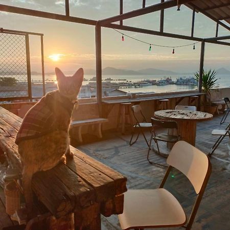 Sattahiptale Boutique Guesthouse & Hostel Экстерьер фото